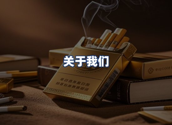 关于我们